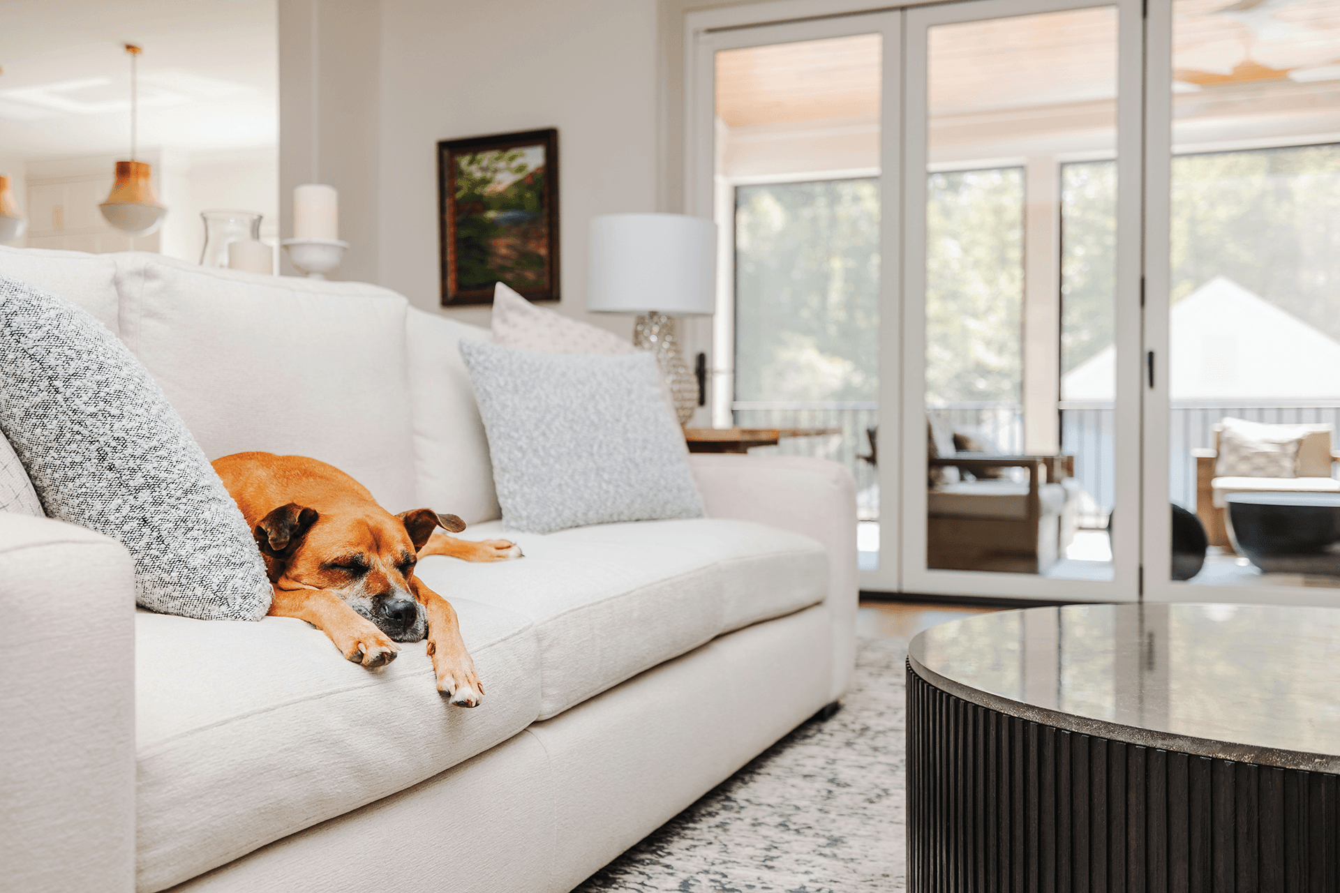 A light brown dog sleeps on a white couch in a living room with a white Infinity patio door in the background.