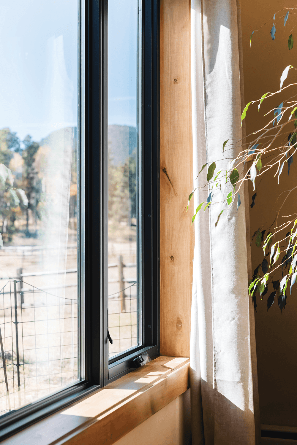 Why Choose Fiberglass Window | Infinity from Marvin